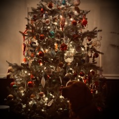 A Simple Song (For Xmas Time)