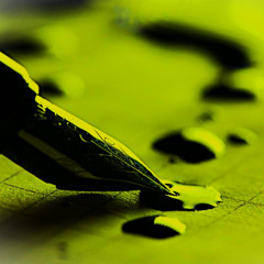 SIGNATUREZ & Co. (part 7/10)