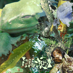 Pulling Tongues Out Of Humans To Feed My Amphibians (Hydropneumothorax cover)