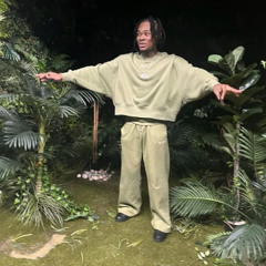 NDO DEE - what you started (prod. attack + seasxn) [djslimebxll exclusive]