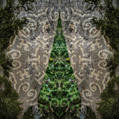 Creations Dance