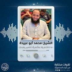 ما خلقكم ولا بعثكم إلا كنفس واحدة | الشيخ محمد أبو عبيدة