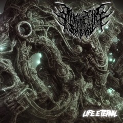 MagnetikSadhu ``Life Eternal`` Recording Set EP Preview
