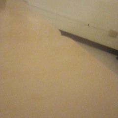 [FREE FOR PROFIT] Playboi Carti x Yeat Type Beat - psycho prod. squirl beats