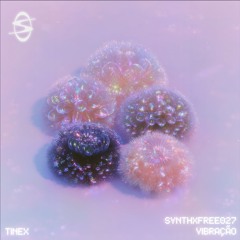 TineX - VIBRAÇÃO [FREE DOWNLOAD] (SYNTHXFREE027)