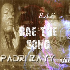 BAE Song