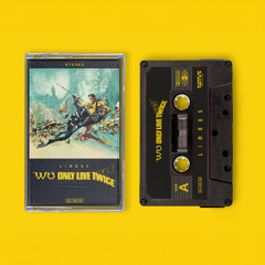 Wu Tang Clan – Da Mystery of Chessboxin’ | WU ONLY LIVE TWICE