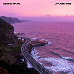 Weedie Mane - Unconcern. [Youtube video in description]