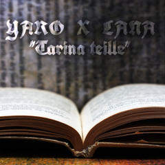 YARO X LANA - TARINA TEILLE (Audio)