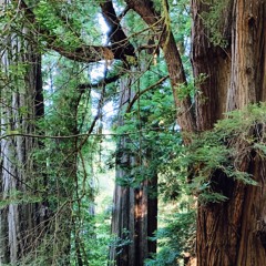 Ataraxia Vol. 1 | Chill, Deep, Melodic House & Techno Mix