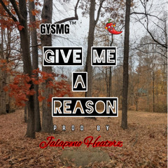 Give_Me_A_Reason