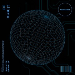 PREMIERE: Llieno - in time [Reasonable]