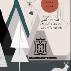 Daniel Hauser @ MUNA 25.12.2024