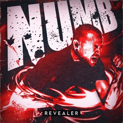 Revealer - NUMB