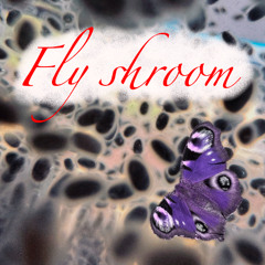 Fly shroom (prod. kenzee)