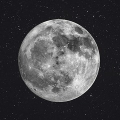 The Moon Song (Chloe Moriondo) - Testa Lofi Remix