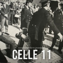 Politivold - Ep 8 (S4) Politirettshistorie