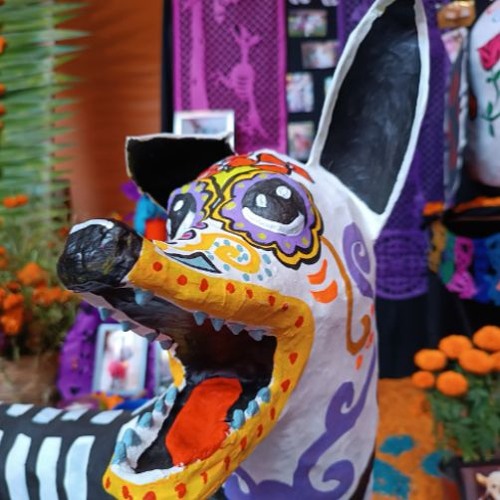 Vlad-Kiproko.Wav (Les Echos Sauvages)