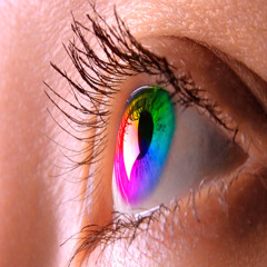 Pure House Autumn 2020