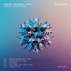 Wessel de Boer & TIPPIE - Don't Waste My Time