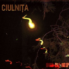 Ciulnita
