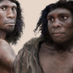 Tales of the Highest Life Form