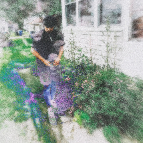 25