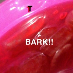 Trill Tim - BARK!! feat.FloridaboyQ (prod. fuurgg)