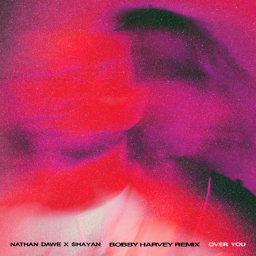 Nathan Dawe x Shayan (Bobby Harvey Remix)