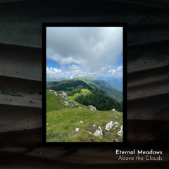 Forest Above the Clouds