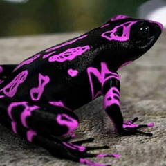 Poison Dart Frog (prod me x Érebe )