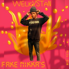 fake_nikka.mp3