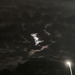 moonlove