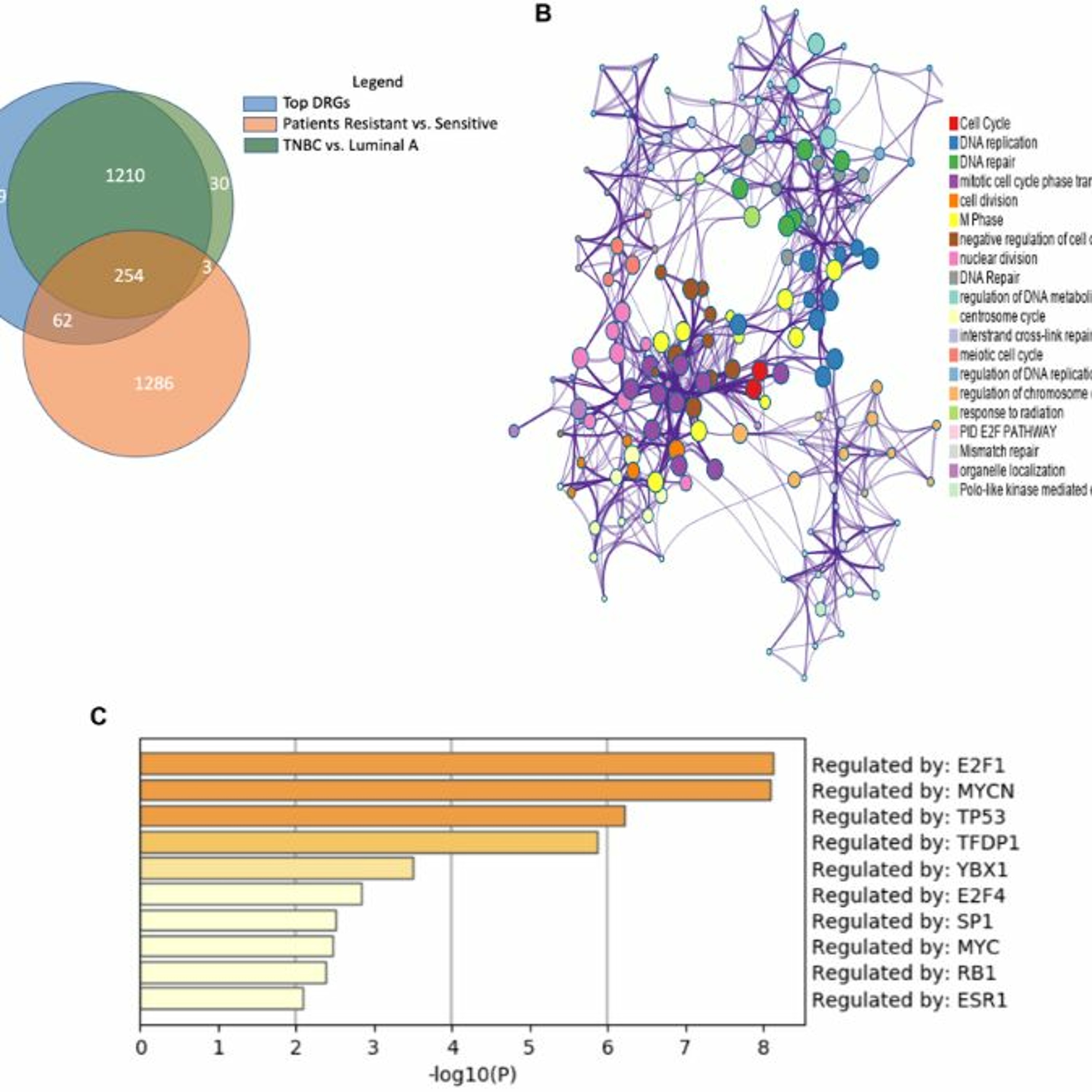Oncotarget