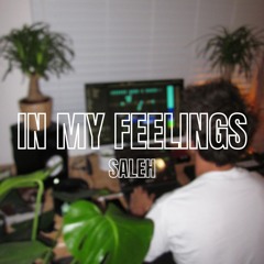 Saleh - In My Feelings