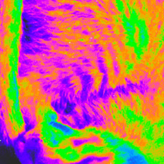 bagatelle in a major