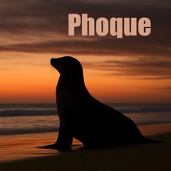 Un phoque (a seal, Zouk 86bpm)