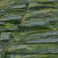 Propagate w/ Moli: 11th July '25