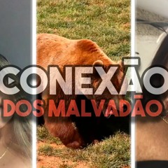 10 MINUTINHOS DO RITMO DA PENHA & CPX (DJ IGOR OFICIAL 2022 )