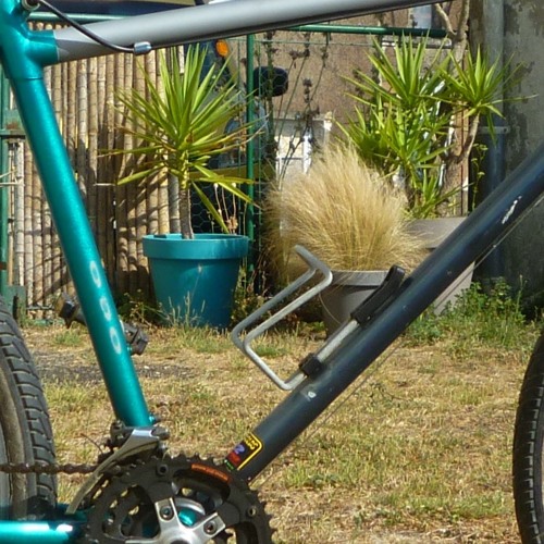 Hands Free For Three - Tabby Sensibilities