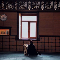 عبدالرحمن مسعد