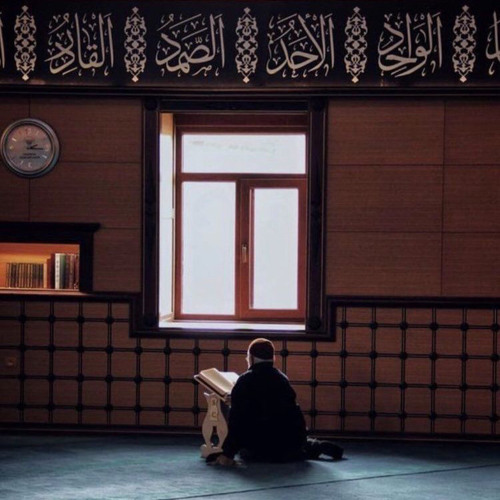 عبدالرحمن مسعد