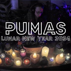 Lunar New Year Mix 2024