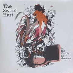 Where Would You Go?- The Sweet Hurt