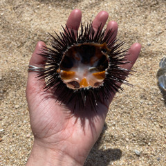 Charlie 3000 - 22 Ocotbre 2025