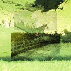 FENTANYL(Feat. Penelope Scott & Itsfairything)