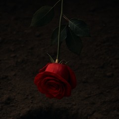 In another life