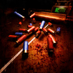 BUCKSHOT