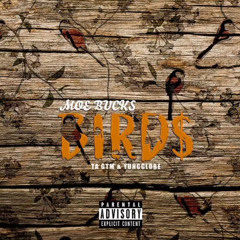 BIRDS - Moe X Ta GTM X YUNGGLOBE