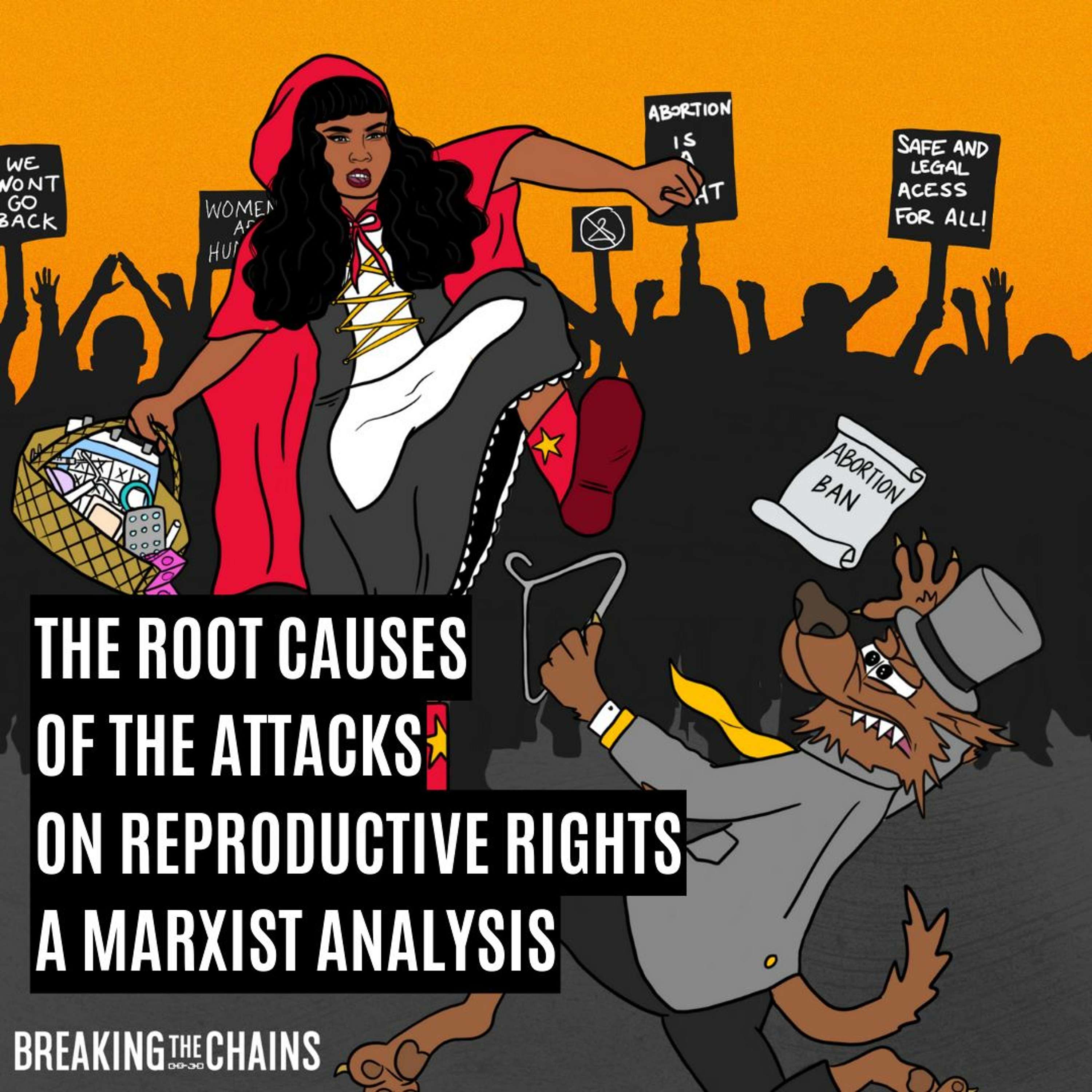 The root causes of the attacks on reproductive rights: A Marxist analysis